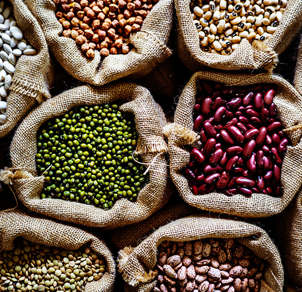 Seeds